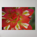 Suche nach indianer andere poster Texas