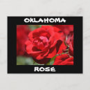 Suche nach hybrider postkarten Rose