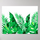 Suche nach tropische pflanzen poster Grün und weiß