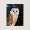 Suche nach schleiereule puzzle Vogel