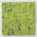 Suche nach chartreuse untersetzer Grün