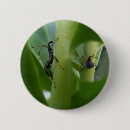 Suche nach wanzen buttons Insekten
