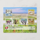 Suche nach bison horizontale postkarten Büffel