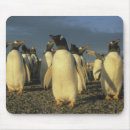 Suche nach kolonie mousepads Gruppe