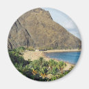 Suche nach teneriffa magnete Spain