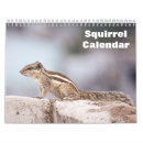 Suche nach nagetier kalender 2027