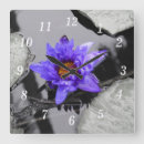 Suche nach wasserlilien poster wanduhren Lilienpolster