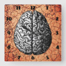 Suche nach gehirn wanduhren Anatomie