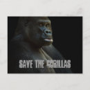 Suche nach gorilla foto poster Von nahem