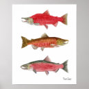 Suche nach coho poster Lachs