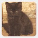 Suche nach flüssig aufkleber Schwarz