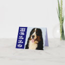 Suche nach berner karten Welpe