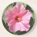 Suche nach lamm untersetzer Rosa