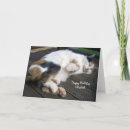 Suche nach gekräuselt Katze