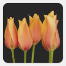 Suche nach orange blume aufkleber Tulpen