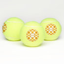 Suche nach hunde tennis bälle Santa