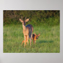 Suche nach verblassen poster Gegner