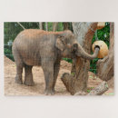Suche nach asiatisch puzzle Tiere