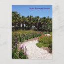 Suche nach wiese postkarten Wildblumen