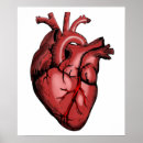 Suche nach anatomisch poster Medizinisch