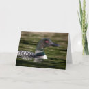 Suche nach gemeinsamer karten Vogelvogel