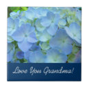 Suche nach oma fliesen Grandmother