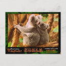 Suche nach koala bären postkarten Australia