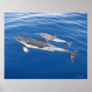 Suche nach tierfamilie poster Illustration
