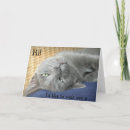 Suche nach graue katzen karten Korb