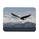 Suche nach flug magnete Hausfrau