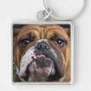 Suche nach englische bulldogge schlüsselanhänger Hund