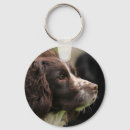 Suche nach english springer spaniel schlüsselanhänger Land