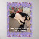 Suche nach bunte katzen poster Für sie