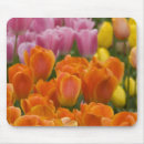 Suche nach niederländer mousepads Tulpe