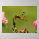 Suche nach rosenknospe poster Grün