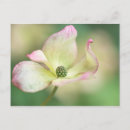Suche nach flowerbed Baum