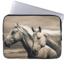 Suche nach horses laptop schutzhüllen Quarter horse