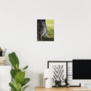 Suche nach niedliches eichhörnchen poster Grauhörnchen