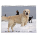 Suche nach golden retriever kalender Foto