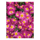 Suche nach treibhausgas poster Blume
