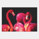 Suche nach flamingos geschenkpapier Blätter