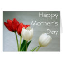 Suche nach bunte tulpe Mother