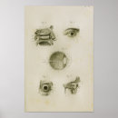 Suche nach human poster Vintage