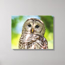 Suche nach schnabel leinwandbilder Schwarz
