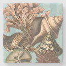 Suche nach seeleben untersetzer Meer