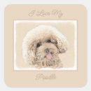 Suche nach apricot aufkleber Aprikose