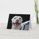Suche nach grinsen karten Hund