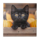 Suche nach patch fliesen Herbst