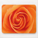 Suche nach orange ros elektronik zubehör Fotografie
