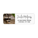 Suche nach waschbär rücksende aufkleber Tierwelt